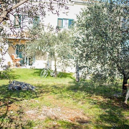 Draga Appartement Vrh  Buitenkant foto
