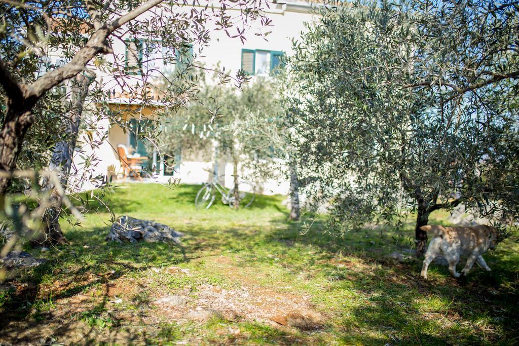 Draga Appartement Vrh  Buitenkant foto